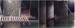 Installation of temporary platform for piles jacketing